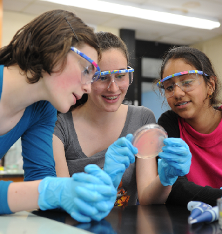 Hands painted into globe and clasping together - Kädet pitävät toisistaan kiinni ja niihin maalattu maapallo.